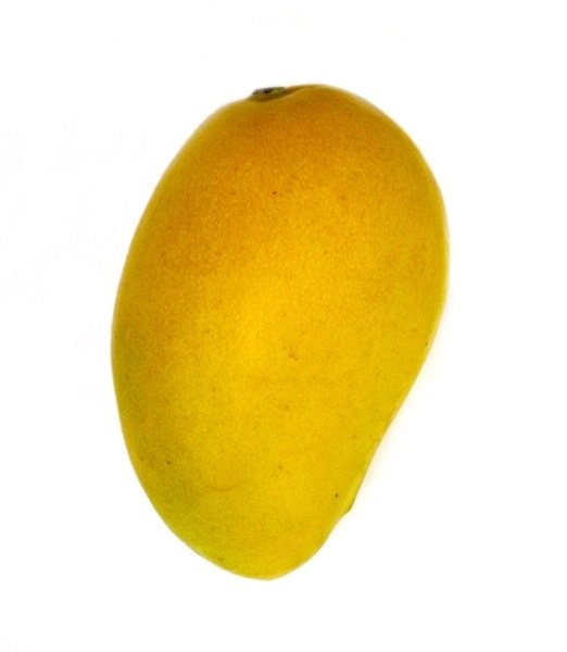 Gul mango